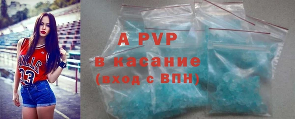 прущие грибы Покров