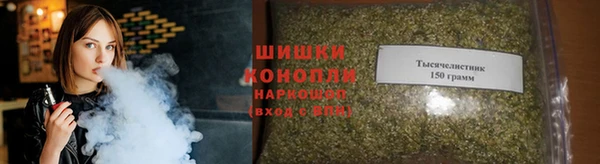 прущие грибы Покров