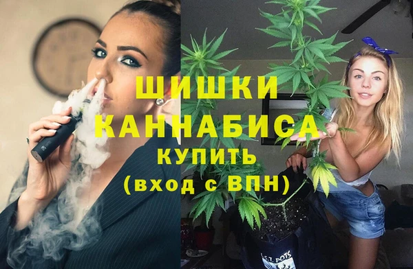 прущие грибы Покров