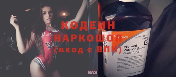 прущие грибы Покров