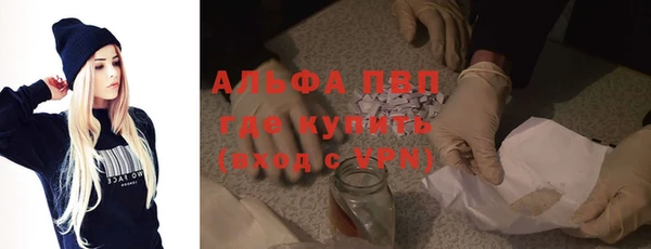 прущие грибы Покров