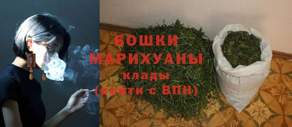прущие грибы Покров