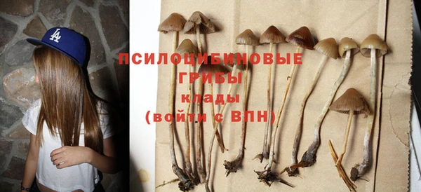 ALPHA PVP Покровск