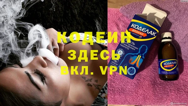 прущие грибы Покров