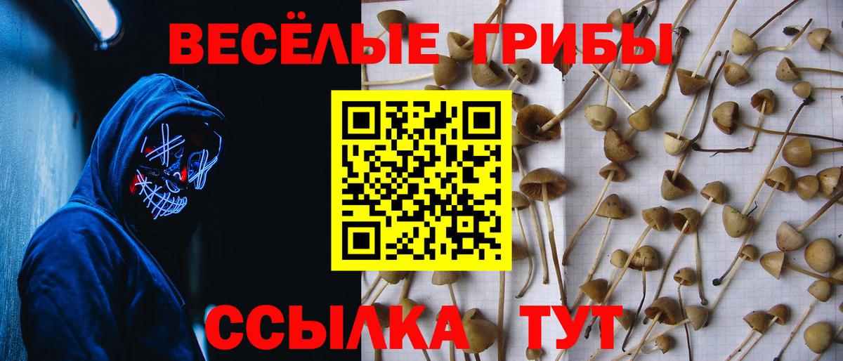 Псилоцибиновые грибы мухоморы Барабинск