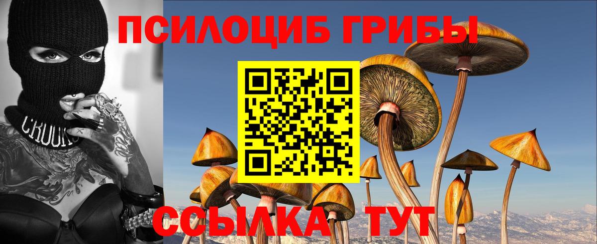 Барабинск  Псилоцибиновые грибы ЛСД  Вход с VPN 