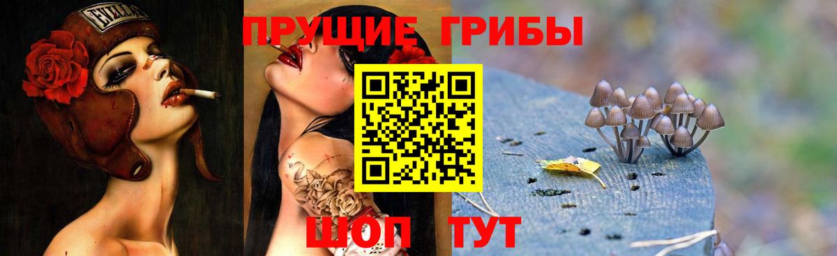 Галлюциногенные грибы Cubensis Барабинск